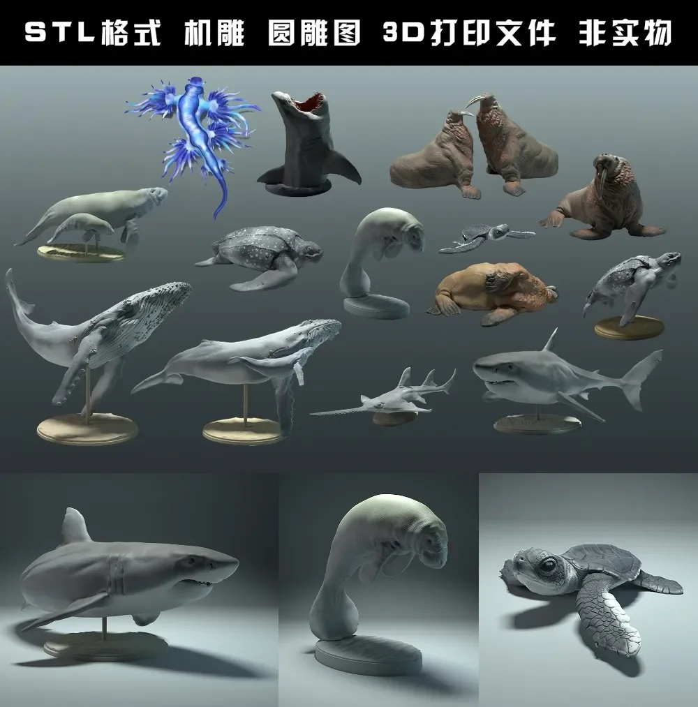 Archivo STL para dibujo de mod - 3D Printing File Stl reseña y precio